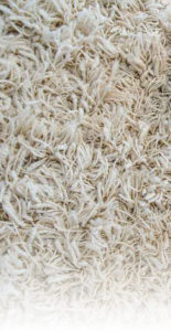 close-up of clean carpet fibers