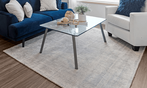 living room nylon rug