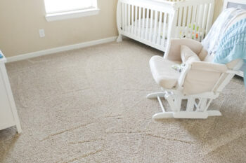 which type of carpet cleaning is best