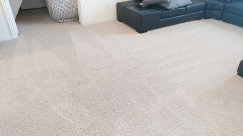 how long to dry clean carpet?